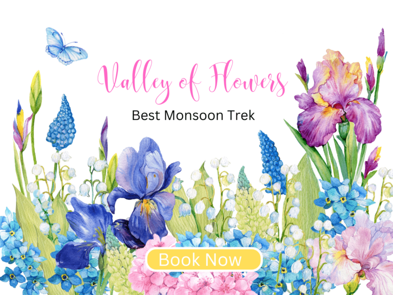 Valley of Flowers Uttarakhand